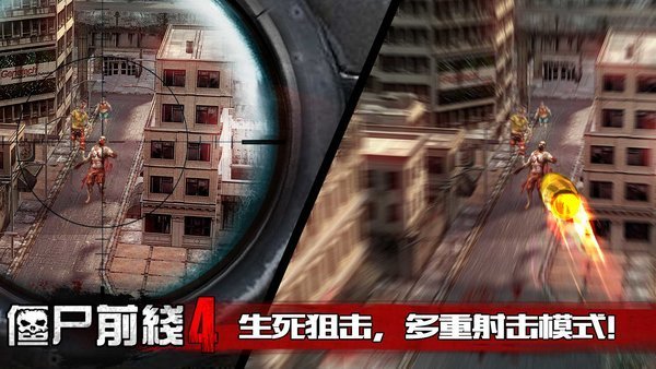 樊振东 王励勤